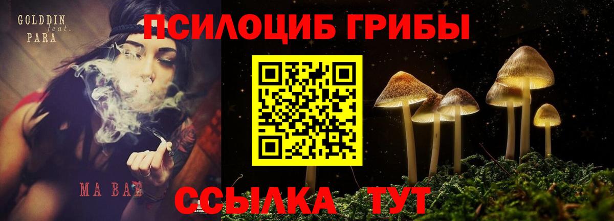 Псилоцибиновые грибы Psilocybe  Вход с VPN  Галлюциногенные грибы прущие грибы  Мурманск 